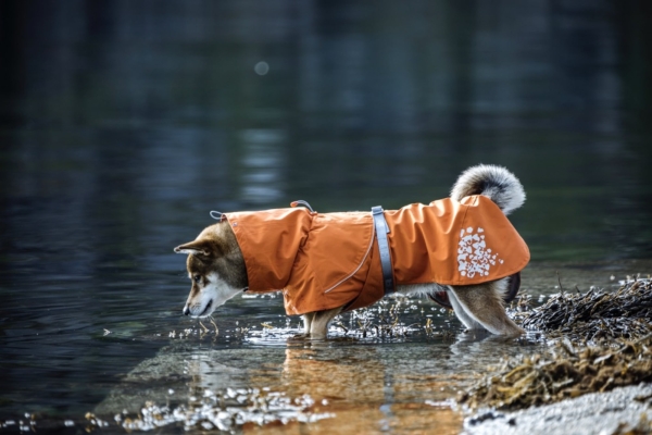 Hurtta Hunde-Regenmantel Monsoon coat orange